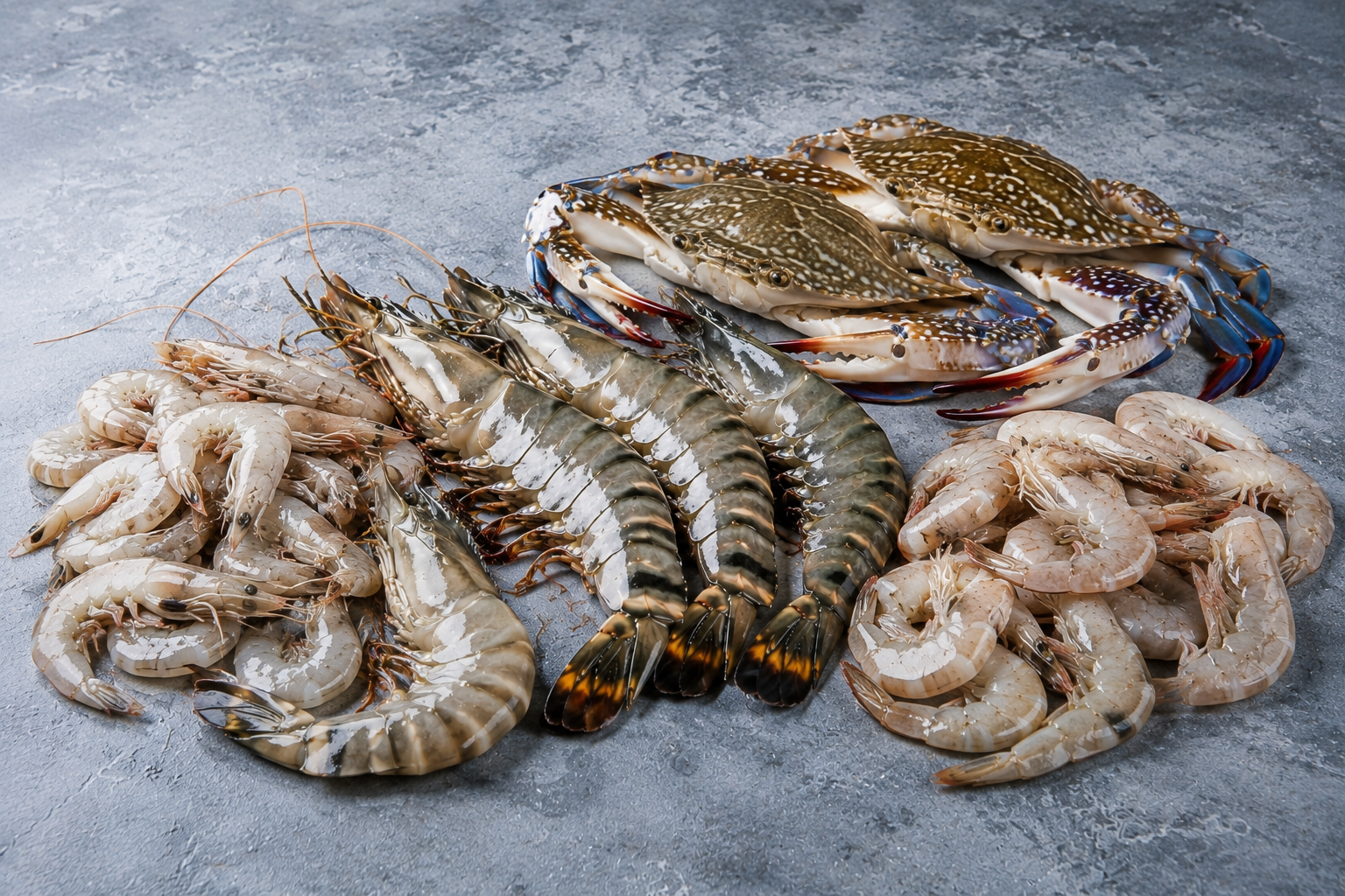 Seafood